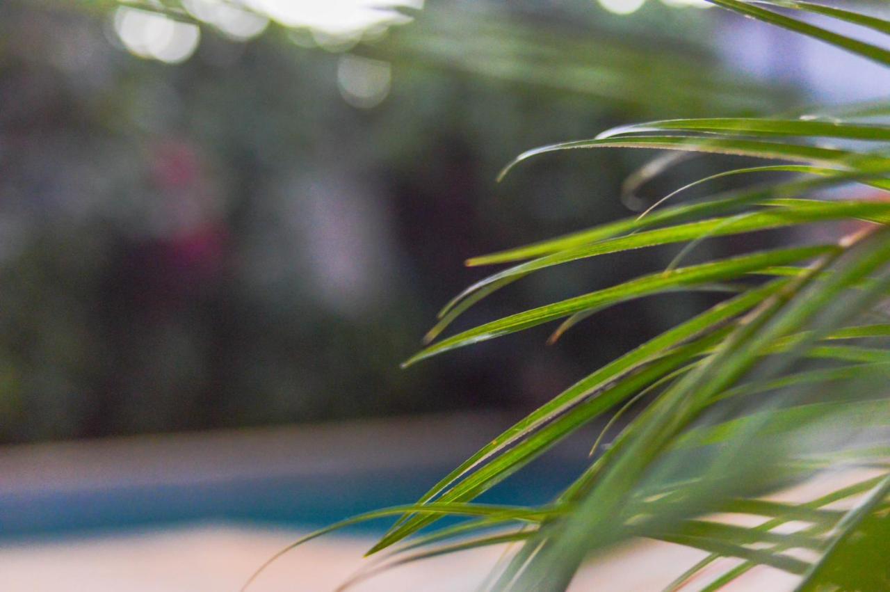 Managua Apart Hotel Πουέρτο Ιγκουασού Εξωτερικό φωτογραφία